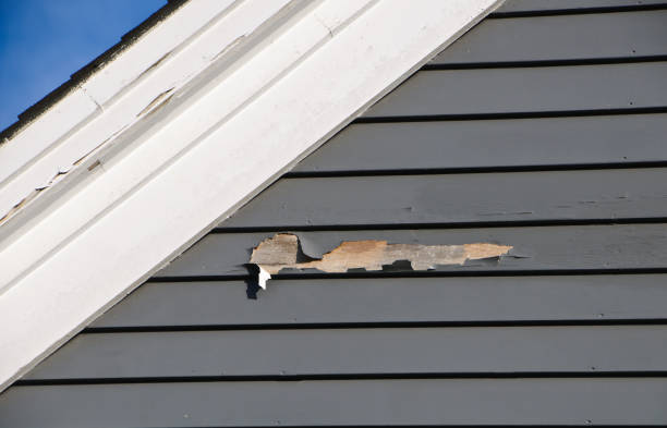 Best Aluminum Siding Installation  in Auburn, AL